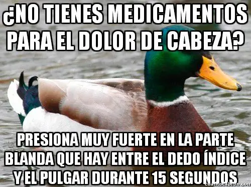 meme