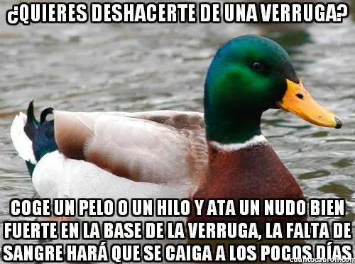 meme