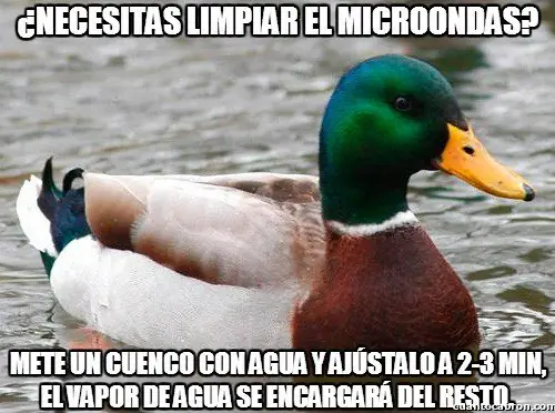 pato consejero