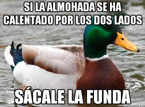 consejo