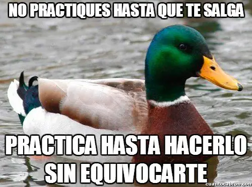 consejo