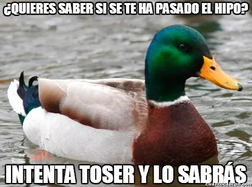 pato consejero