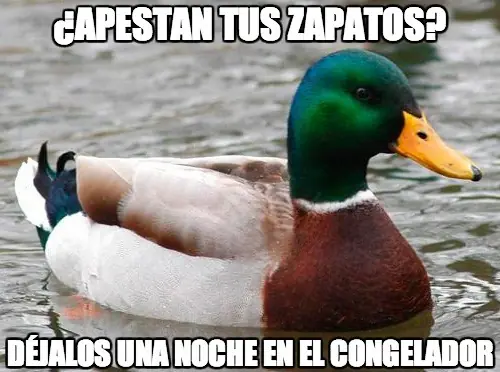 imagenes