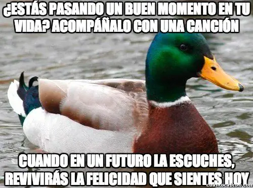 imagenes