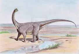 reptil