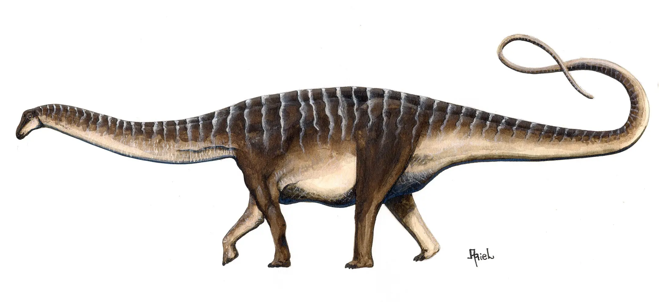 18 curiosidades sobre los dinosaurios.