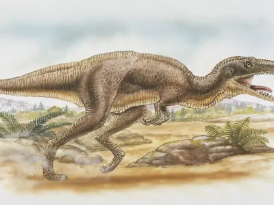 reptil