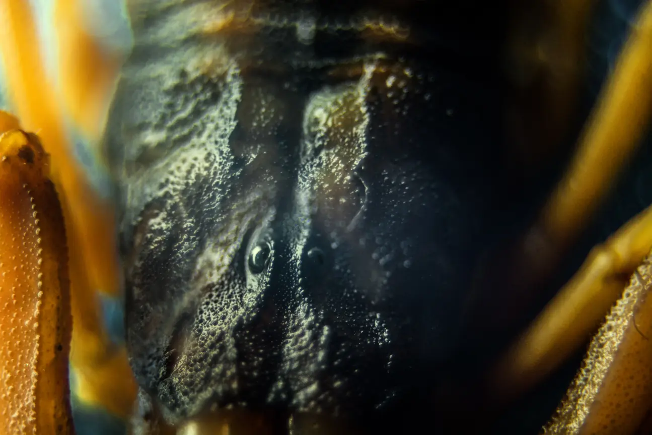 Estudio fotografía y te muestro mis trabajos