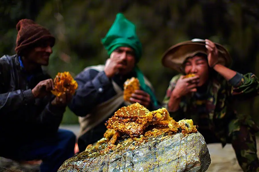miel alucinogena en Nepal