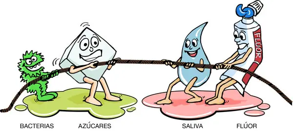 saliva