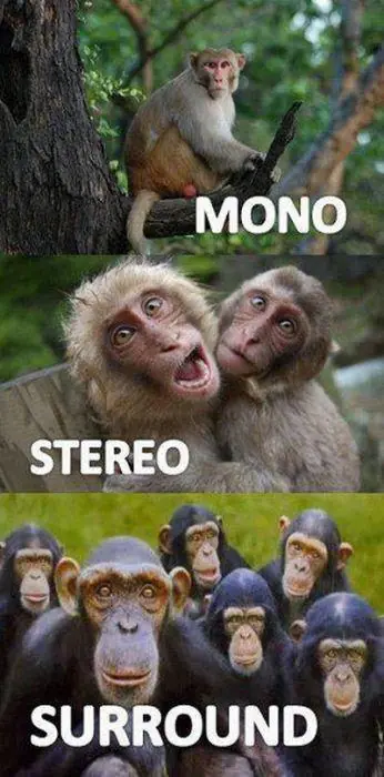 Humor variado