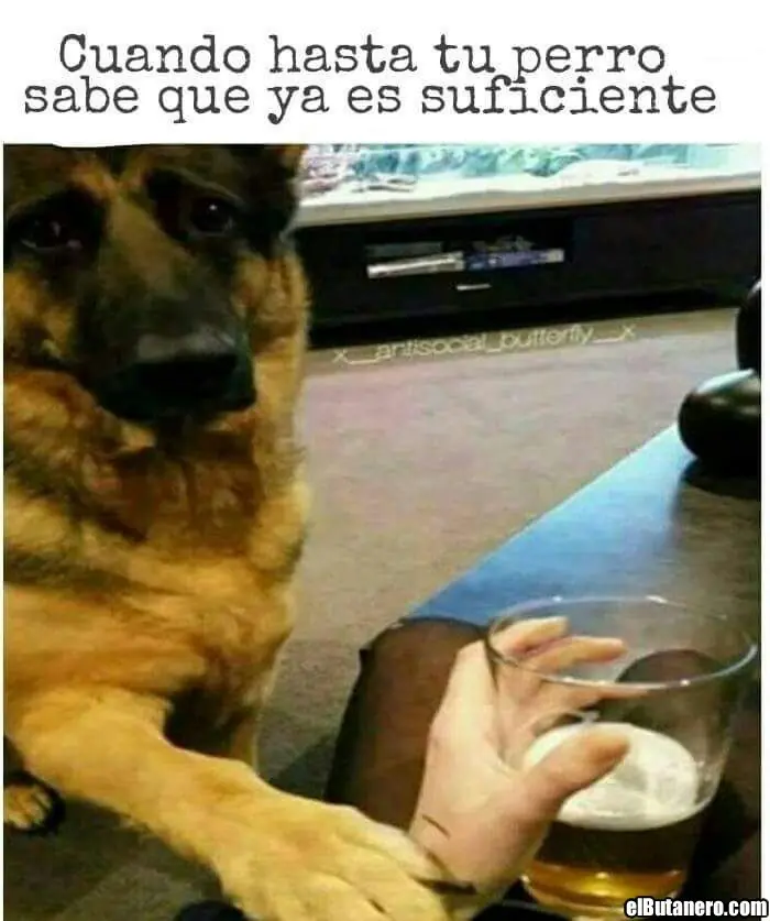 semana
