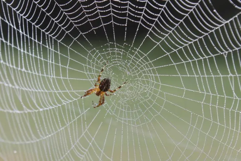 20 cosas que no sabías hace 4 minutos
