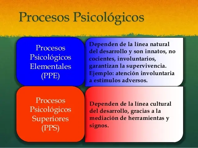 Psicologicos