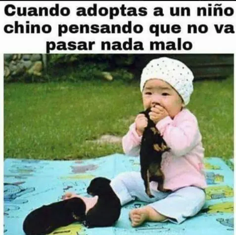 yapa