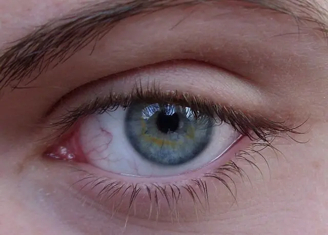 That you did not know