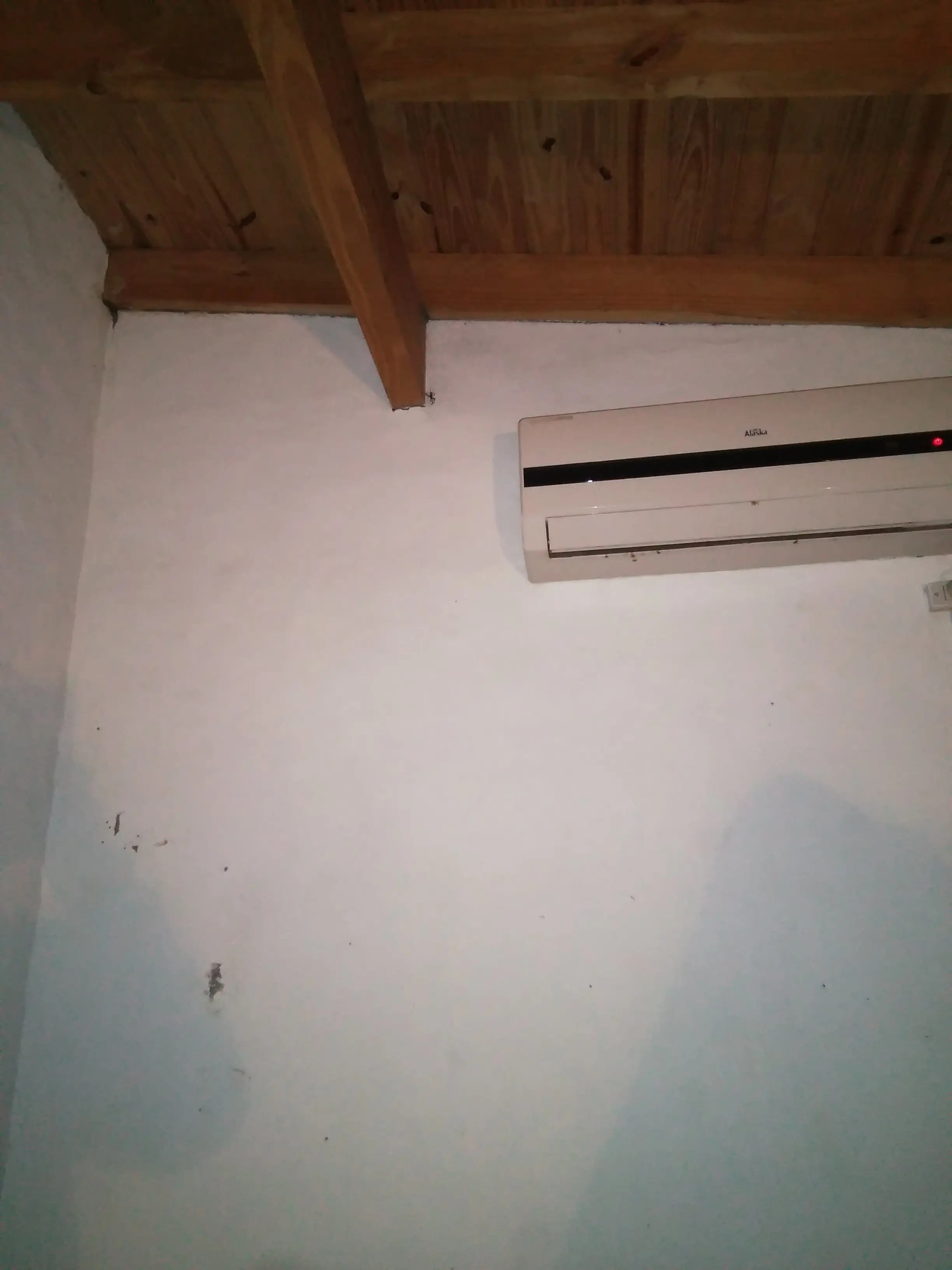 Te muestro la araña de mi virgocueva
