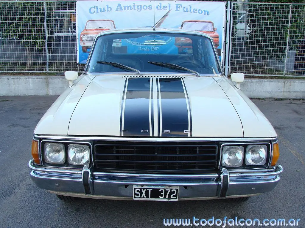 falcon