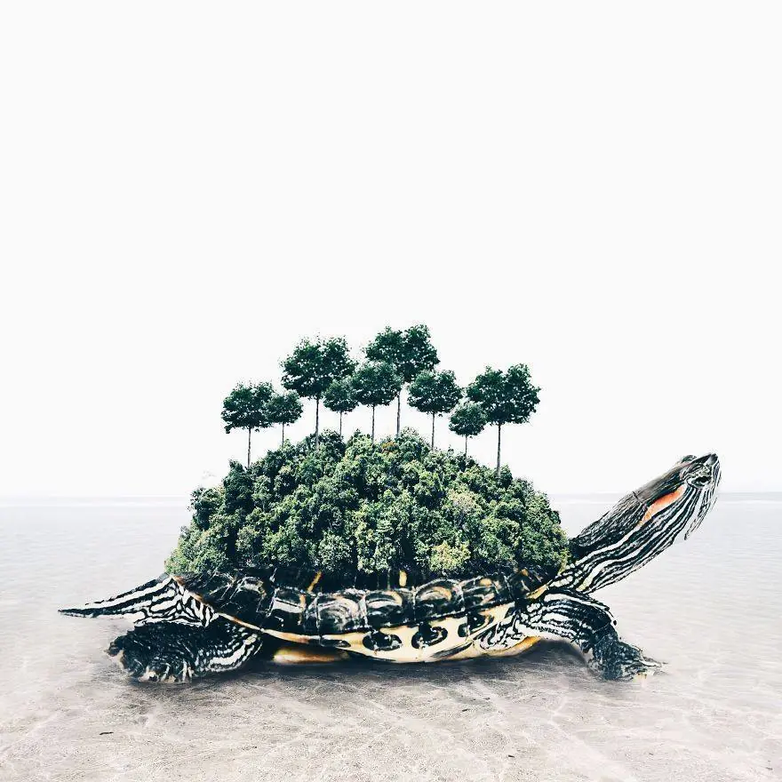 Imagenes surrealistas