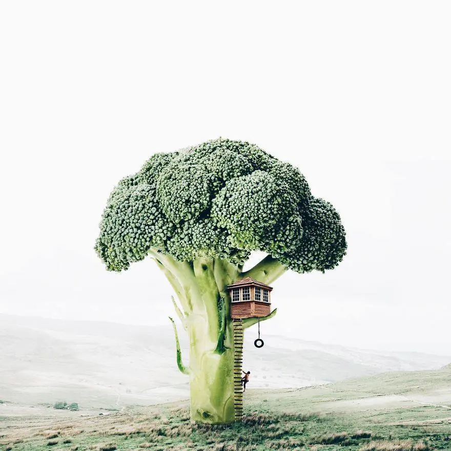 Imagenes surrealistas