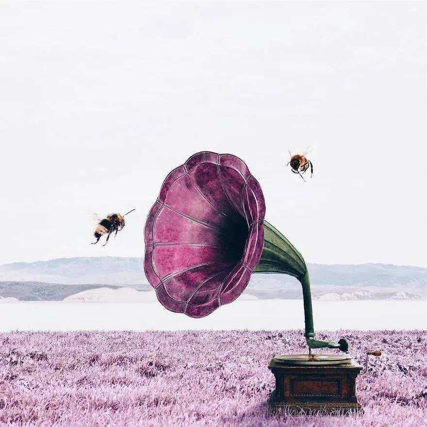 Imágenes surrealistas que harán divagar a tu mente.