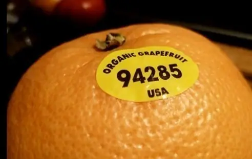 alimentos organicos alimentos organicos