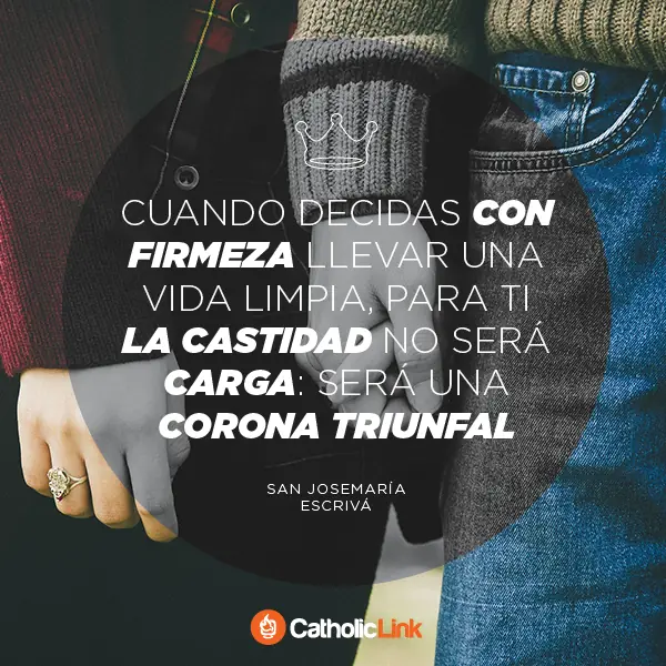 consejos consejos