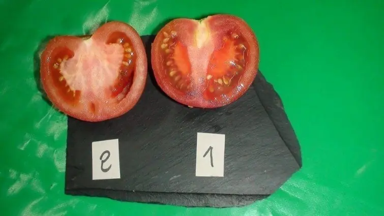 ¿Cómo distinguir un tomate ecológico de uno transgénico?