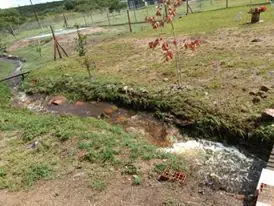 Frio!! veni Gil! No te tengo Miedo!