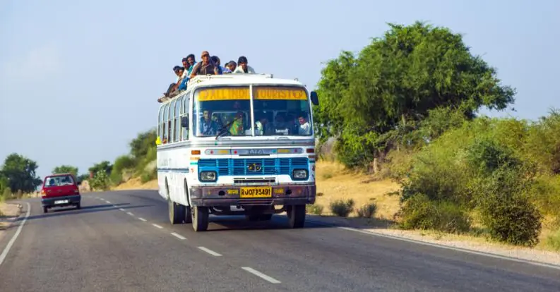 bus bus