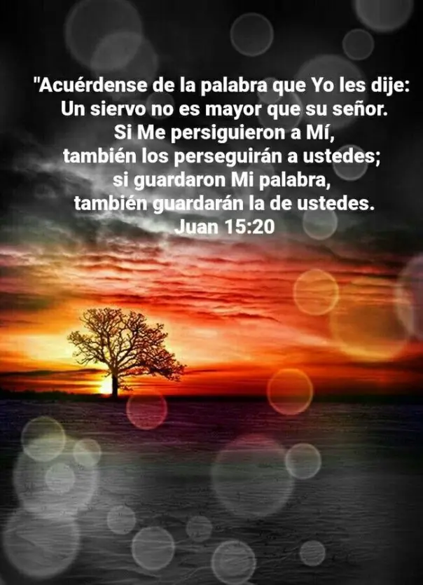 consejos consejos