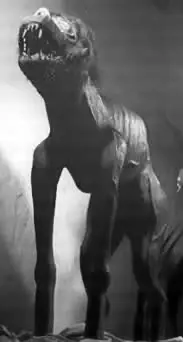 teju jagua