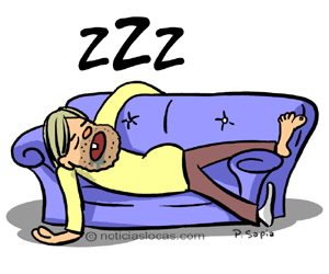 Encontraron algo extraño en el sofa