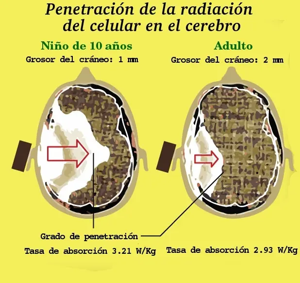Celulares