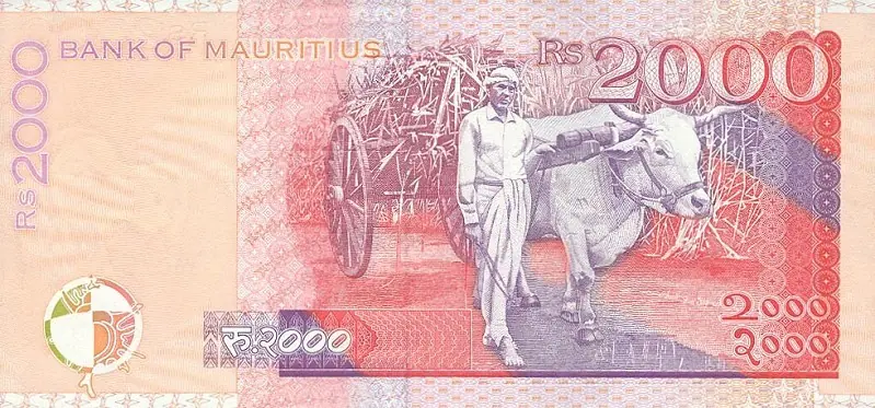 Africa Africa