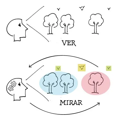 Diferencia entre mirar, ver y observar