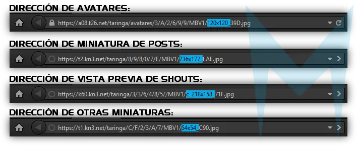 MBV► Utilidades para taringuear como un campeón