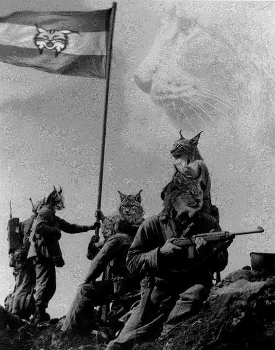 Ejercito lince, escrachemos a este chorro