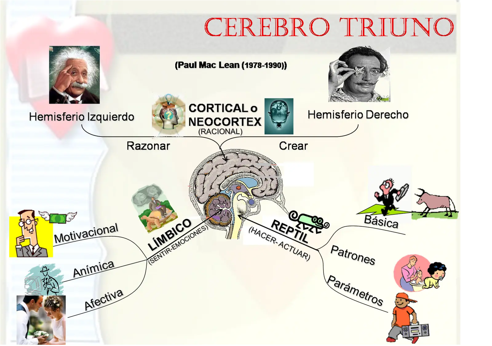 Los tres tipos de cerebros: reptiliano, límbico y neocórtex