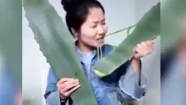 Quiso mostrar los beneficios del aloe vera y se envenenó
