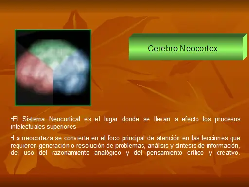 Los tres tipos de cerebros: reptiliano, límbico y neocórtex