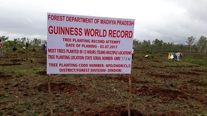 En la India plantan 66 millones de árboles en 12 horas En la India plantan 66 millones de árboles en 12 horas