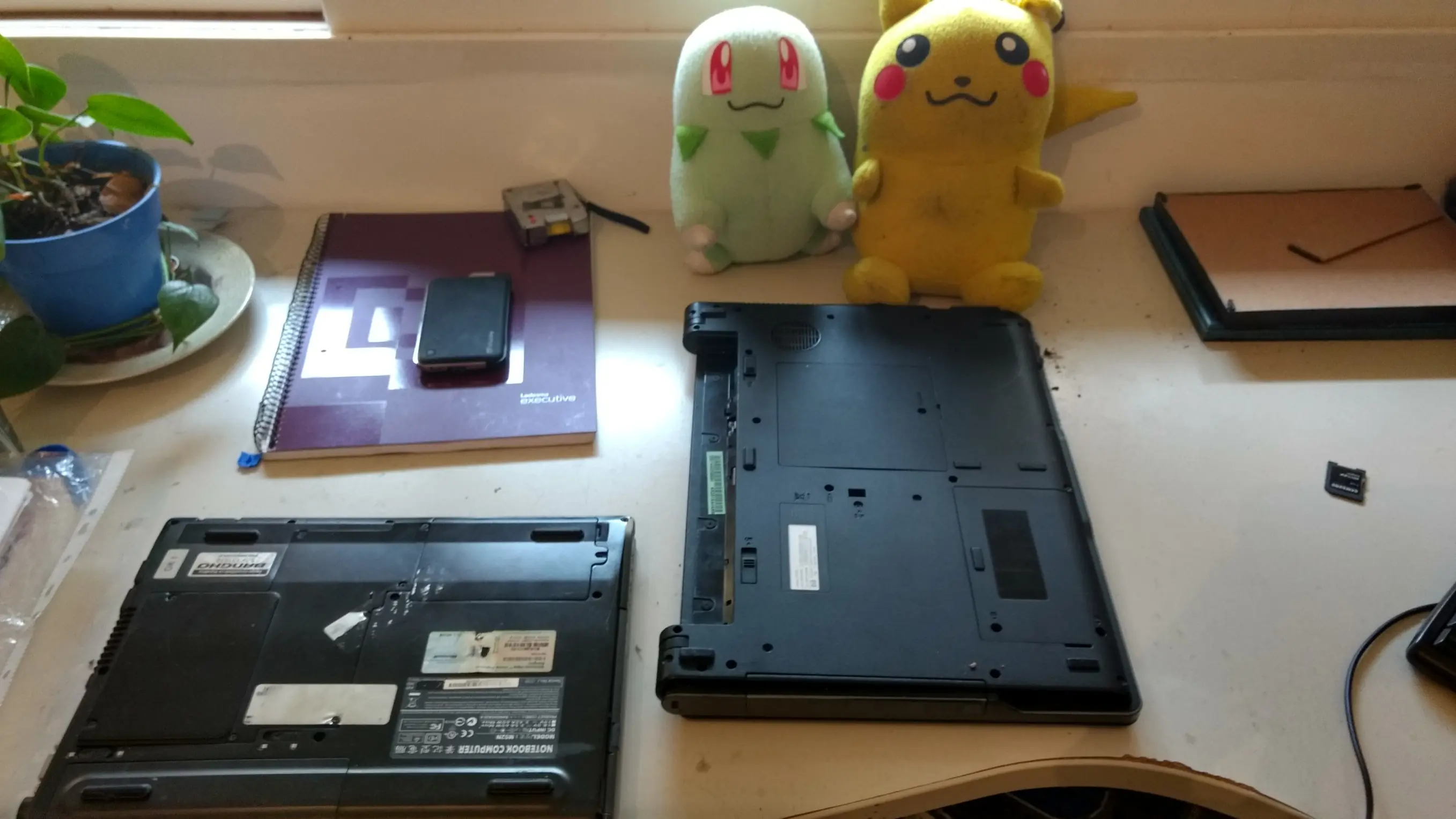 backups