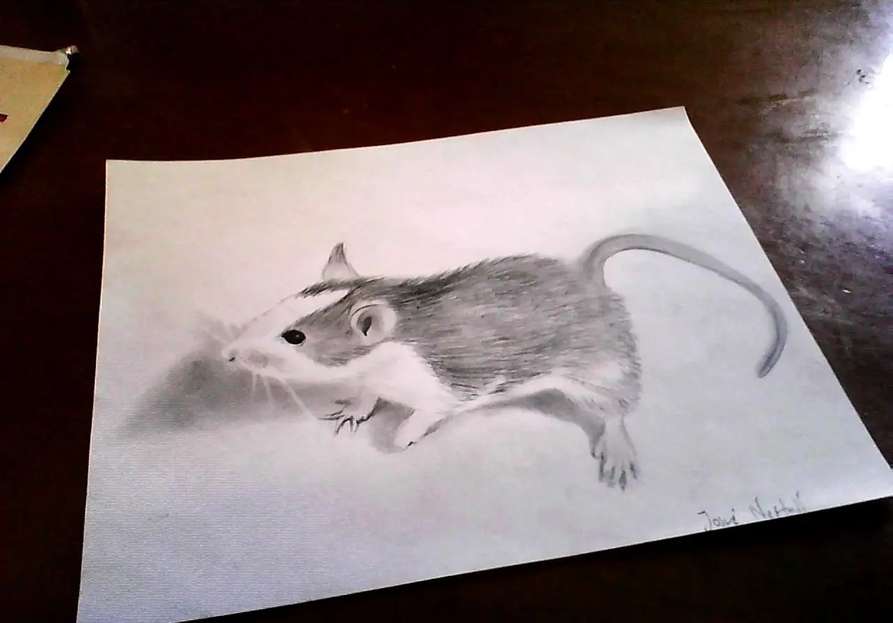 grafito