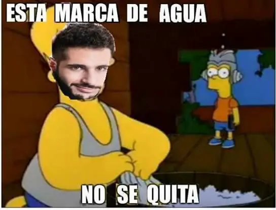 videos