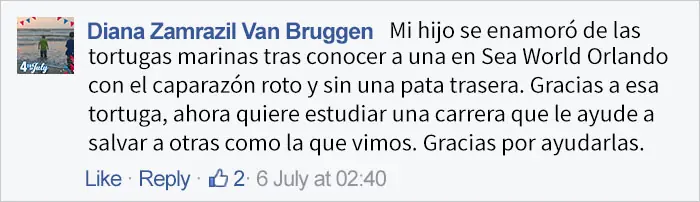 caparazon caparazon