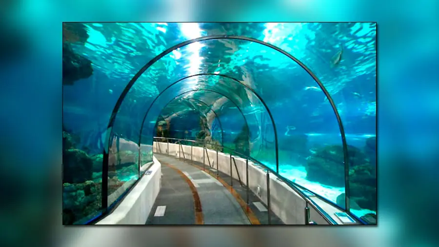 India tendrá el primer tren bala submarino