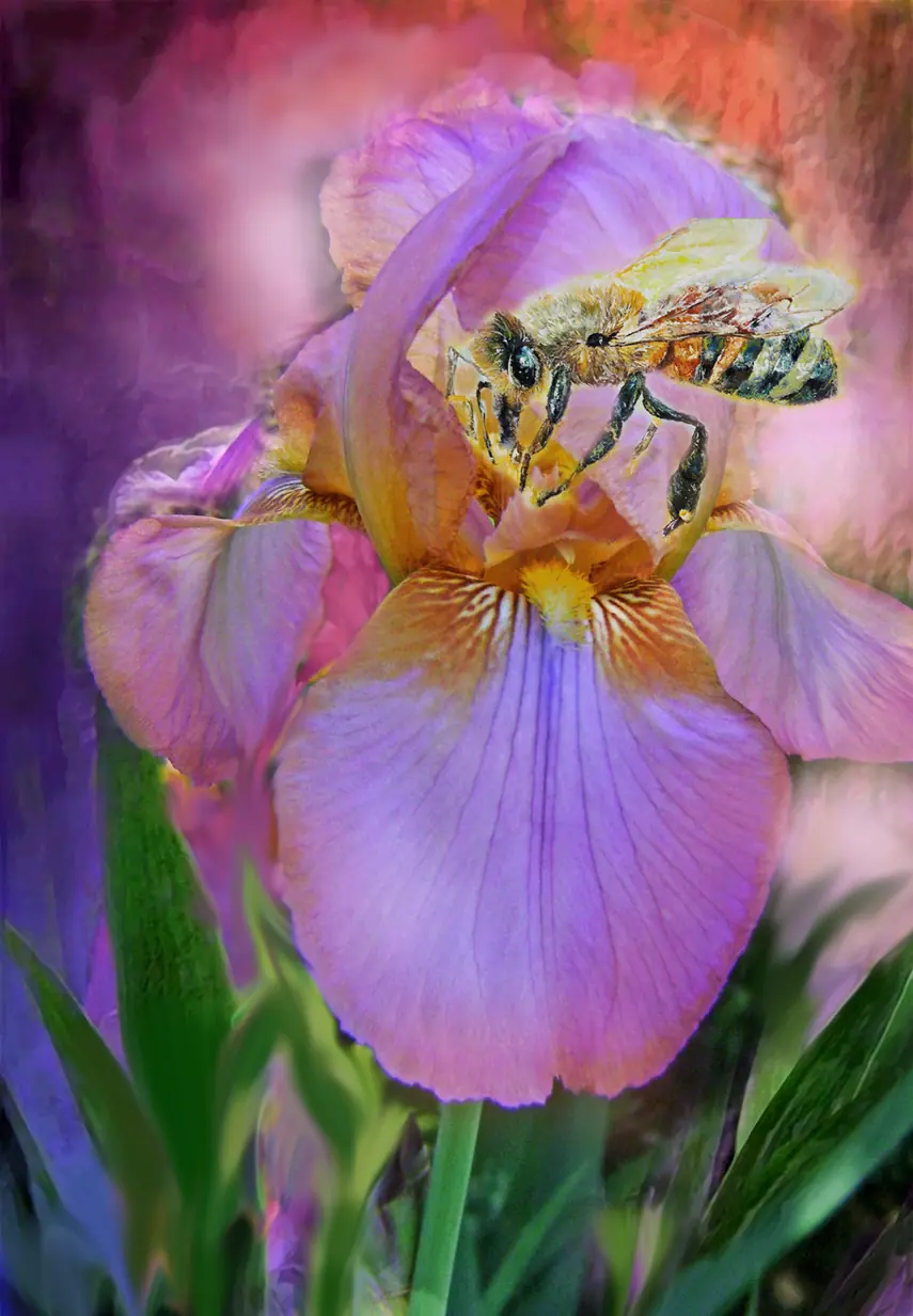 Las abejas están en vías de extinción.Ana Luisa Muñoz Flores
