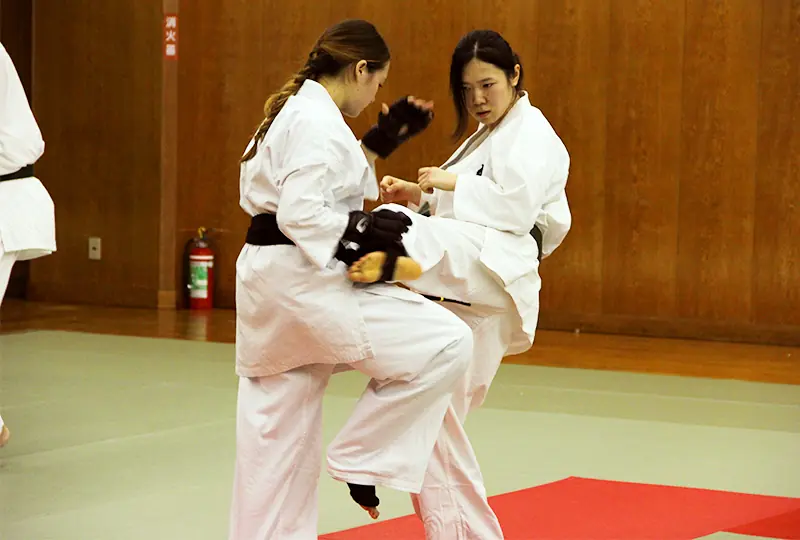 Entretenimiento y cultura tradicional japonesa