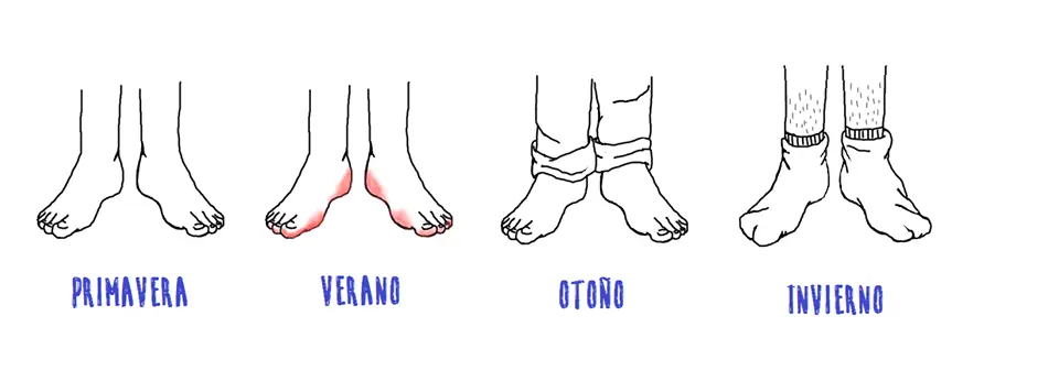 diseno